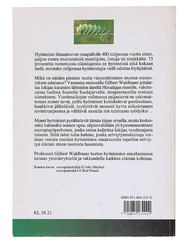 Hyönteiset vuodenaikojen vaihtelussa - Waldbauer, Gilbert - Tietokirjat ja oppaat - 10105526209 - 1