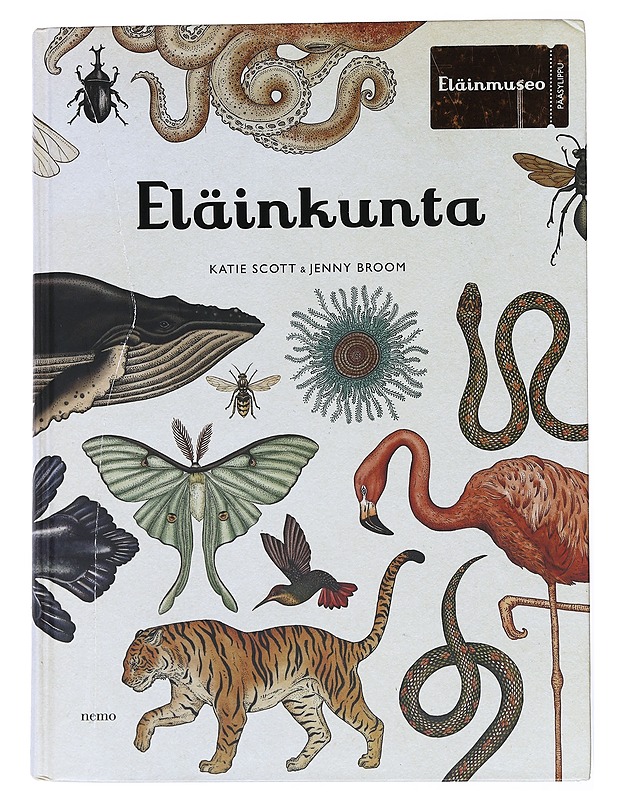 Eläinkunta - Broom, Jenny - Lastenkirjat - 10105526380 - 0