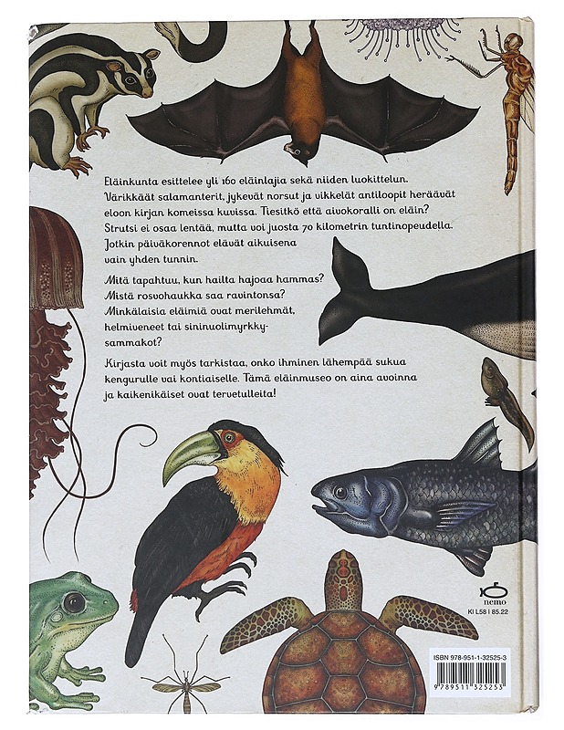 Eläinkunta - Broom, Jenny - Lastenkirjat - 10105526380 - 1