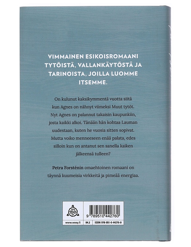 Kadonneet tytöt - Petra Forstén - Romaanit ja novellit - 10105526514 - 1