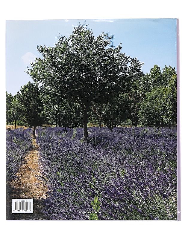 Living in Provence = Vivre en Provence - Stoeltie, Barbara - Tietokirjat ja oppaat - 10105526585 - 1