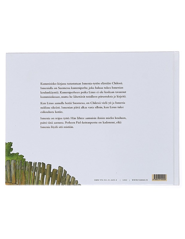 Kummisisko - Mikkanen, Raili - Lastenkirjat - 10105526876 - 1