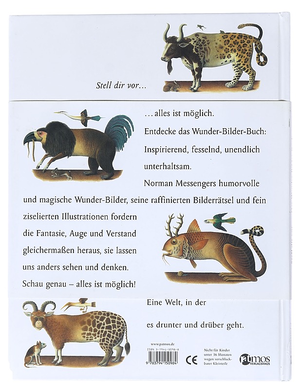 Stell Dir Vor... : Das Wunder-Bilder Buch - Norman Messenger - Taide- ja kulttuurikirjat - 10105526904 - 1