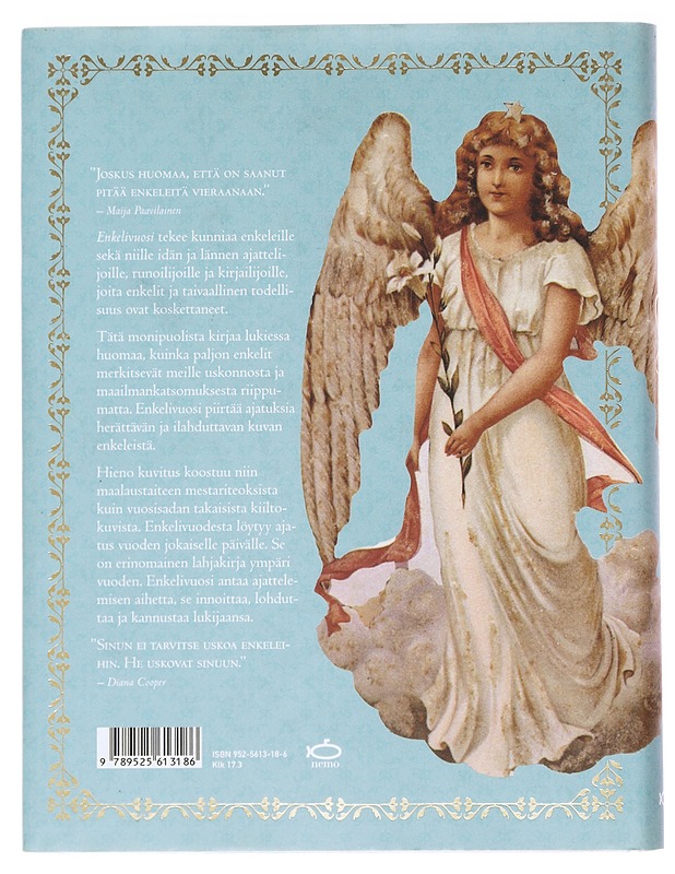Enkelivuosi - Hjelt, Marjut - Romaanit ja novellit - 10105527079 - 1