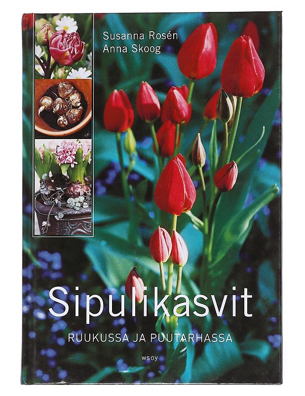 Sipulikasvit : ruukussa ja puutarhassa - Rosen, Susanna - Tietokirjat ja oppaat - 10105527757 - 0