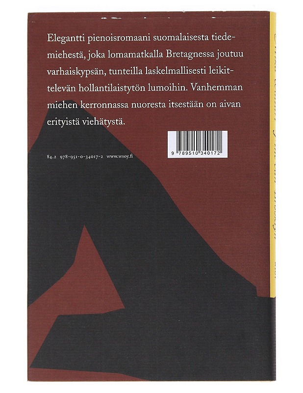 Fine van Brooklyn - Mika Waltari - Romaanit ja novellit - 10105527755 - 1