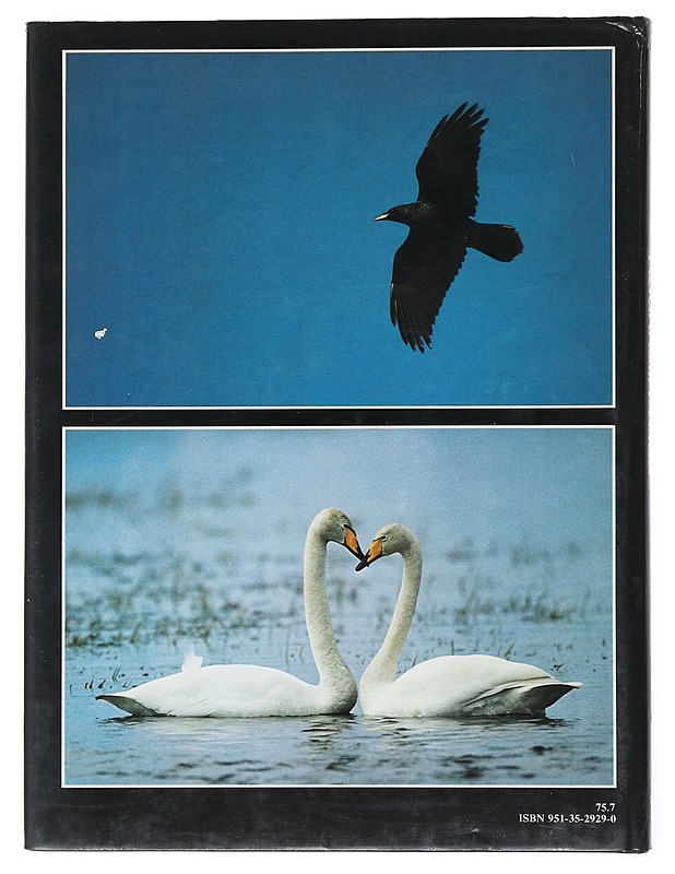 Kuukkelin Maa - Hannu Hautala - Lemmikki- ja luontokirjat - 10105528896 - 1