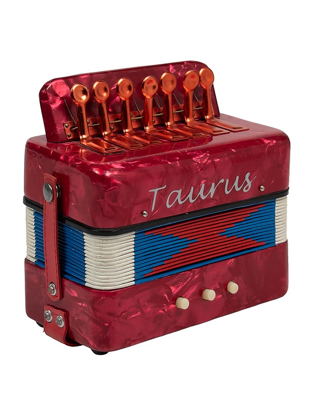 Lasten harmonikkalelu - Lasten lelut - 10105528998 - 0