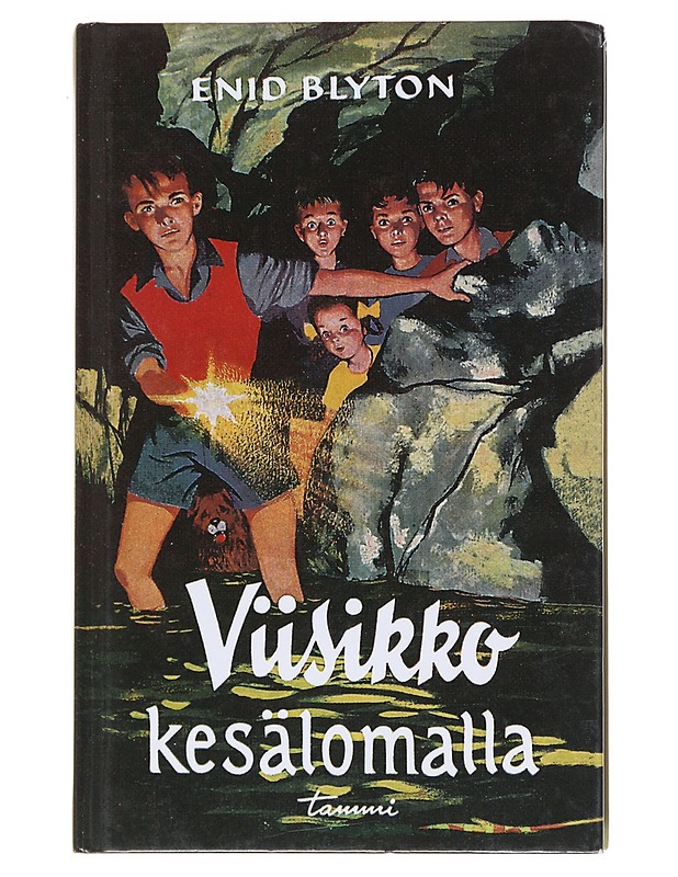 Viisikko kesälomalla - Blyton, Enid - Nuorten kirjat - 10105529020 - 0