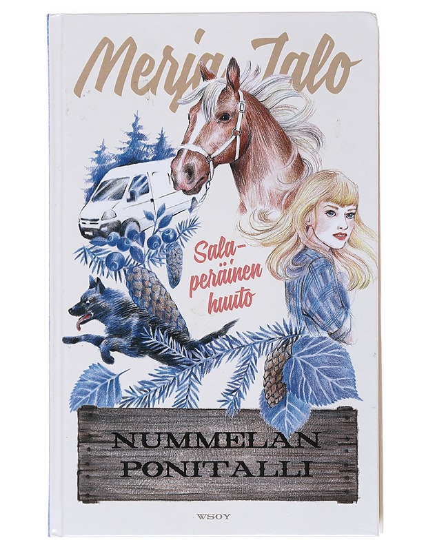 Salaperäinen huuto - Merja Jalo - Nuorten kirjat - 10105529037 - 0