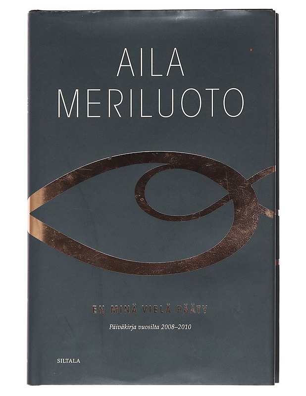 En minä vielä pääty : päiväkirja vuosilta 2008-2010 - Meriluoto, Aila - Romaanit ja novellit - 10105529051 - 0