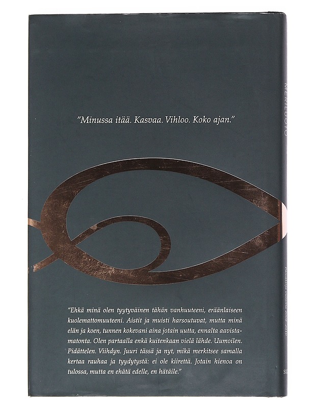 En minä vielä pääty : päiväkirja vuosilta 2008-2010 - Meriluoto, Aila - Romaanit ja novellit - 10105529051 - 1