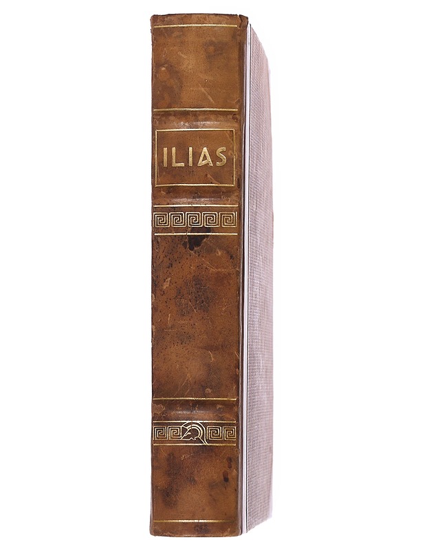 Ilias - O. Manninen - Romaanit ja novellit - 10105529122 - 1