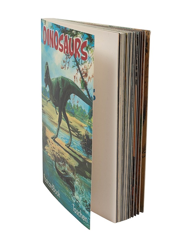 Dinosaurs postikorttikirja - Askartelu - 10105529676 - 1