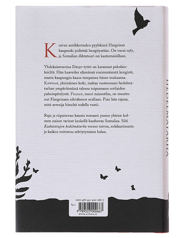 Kadotettujen hedelmätarha - Mohamed, Nadifa - Romaanit ja novellit - 10105529748 - 1
