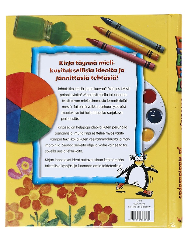 Pikku taiteilija : suuri piirustus- ja maalausopas - Nicholson, Sue - Lastenkirjat - 10105529922 - 1