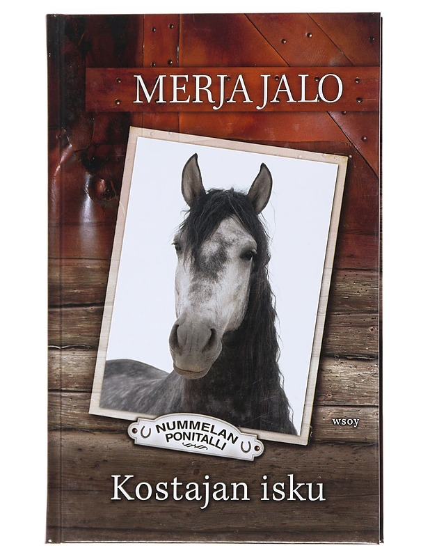 Kostajan isku - Merja Jalo - Nuorten kirjat - 10105529973 - 0