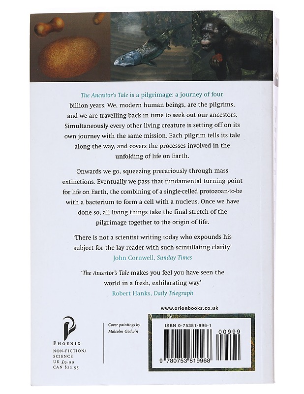 The ancestor's tale : a pilgrimage to the dawn of life - Dawkins, Richard - Historiakirjat - 10105529982 - 1