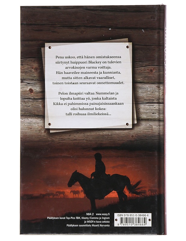 Palavat silmät - Merja Jalo - Nuorten kirjat - 10105530021 - 1