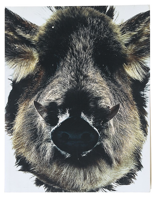 Revelations. The 11 Years of Taivas - Taide- ja kulttuurikirjat - 10105530048 - 0