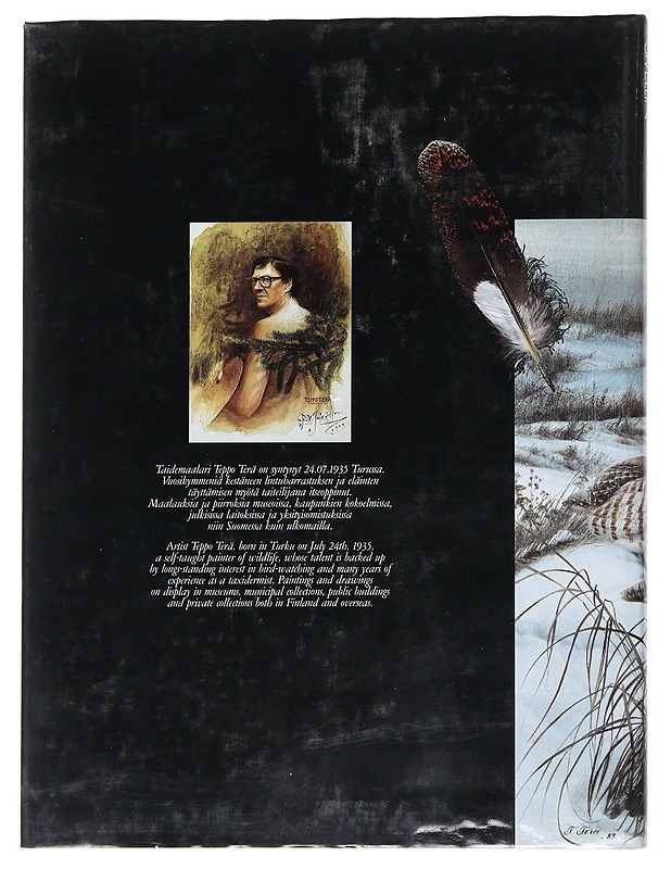 Terävä sivellin - Terä, Teppo - Taide- ja kulttuurikirjat - 10105530160 - 1