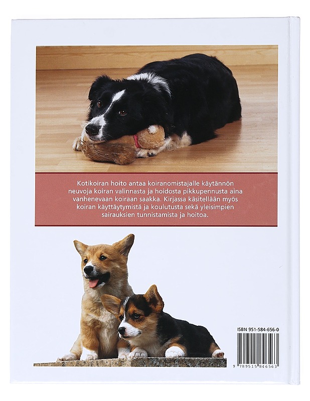 Kotikoiran hoito : koiranomistajan opas - Davis, Caroline - Tietokirjat ja oppaat - 10105530269 - 1
