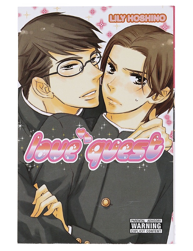 Love quest - Hoshino, Lily