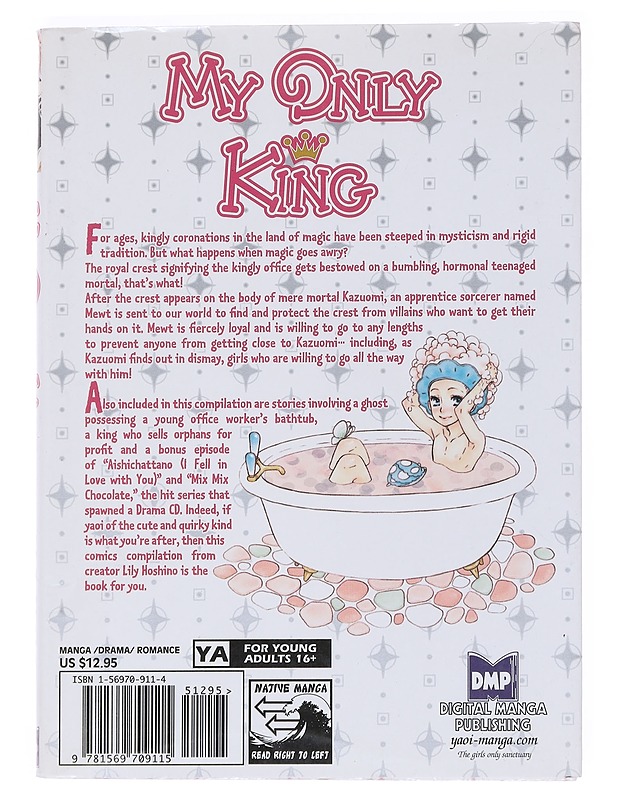 My Only King - Lily Hoshino - Sarjakuvat - 10105531148 - 1