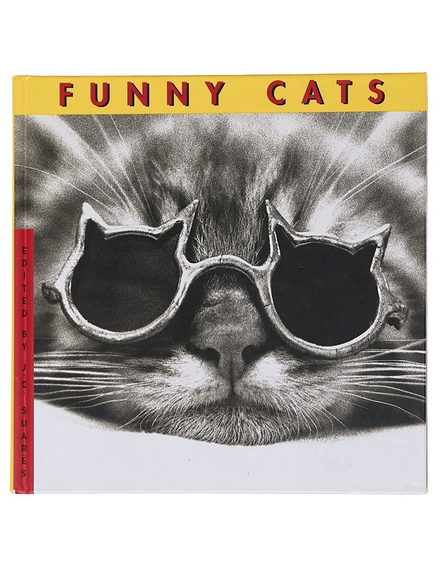 Funny Cats - Jane Martin