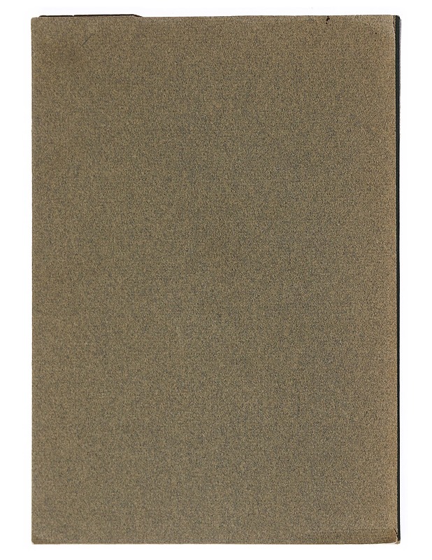 Halikon Hakoniskat - Niilo Kallio - Romaanit ja novellit - 10105532018 - 1