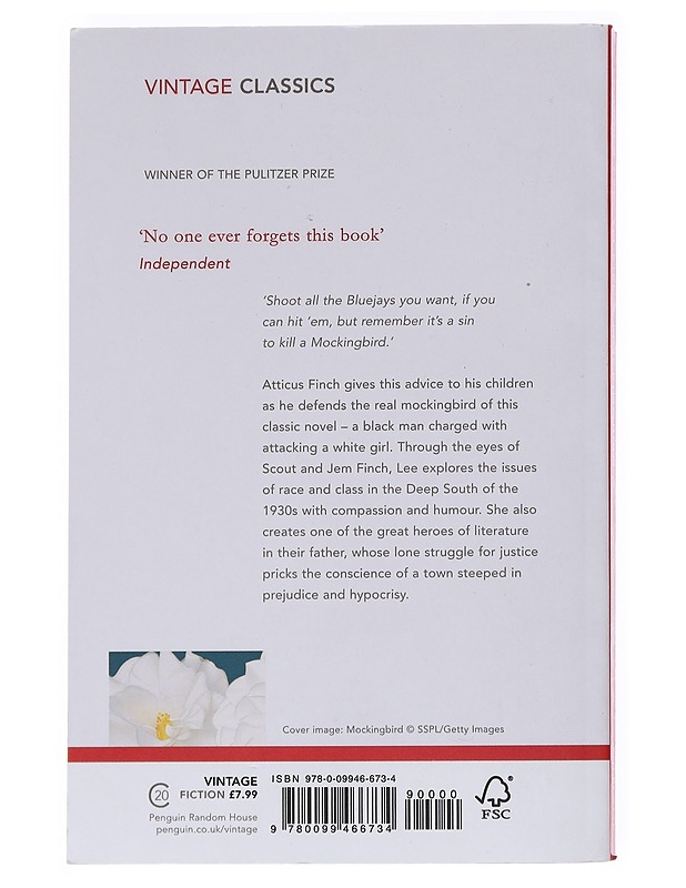 To kill a mockingbird - Harper Lee - Romaanit ja novellit - 10105532145 - 1