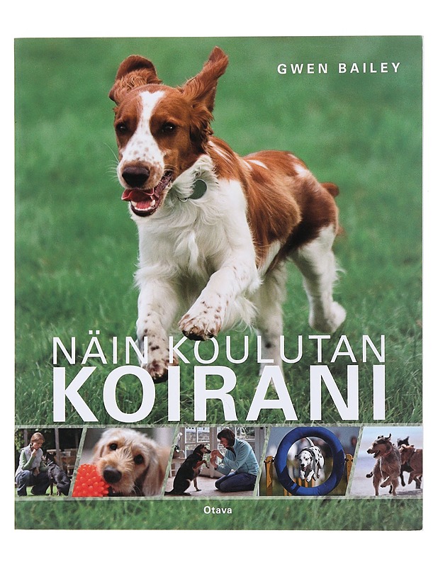 Näin koulutan koirani - Gwen Bailey - Tietokirjat ja oppaat - 10105532875 - 1