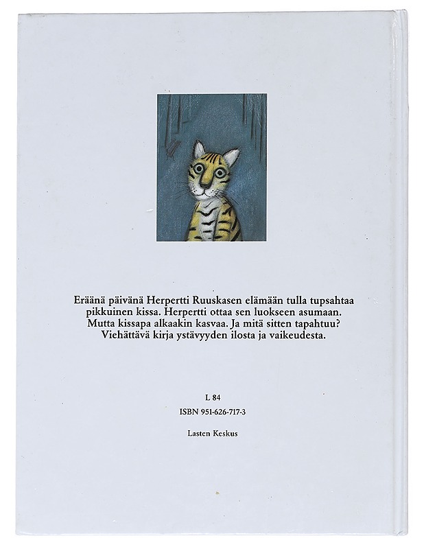 Herpertti Ruuskasen kisumisu - Wolski, Slawomir - Lastenkirjat - 10105533080 - 1