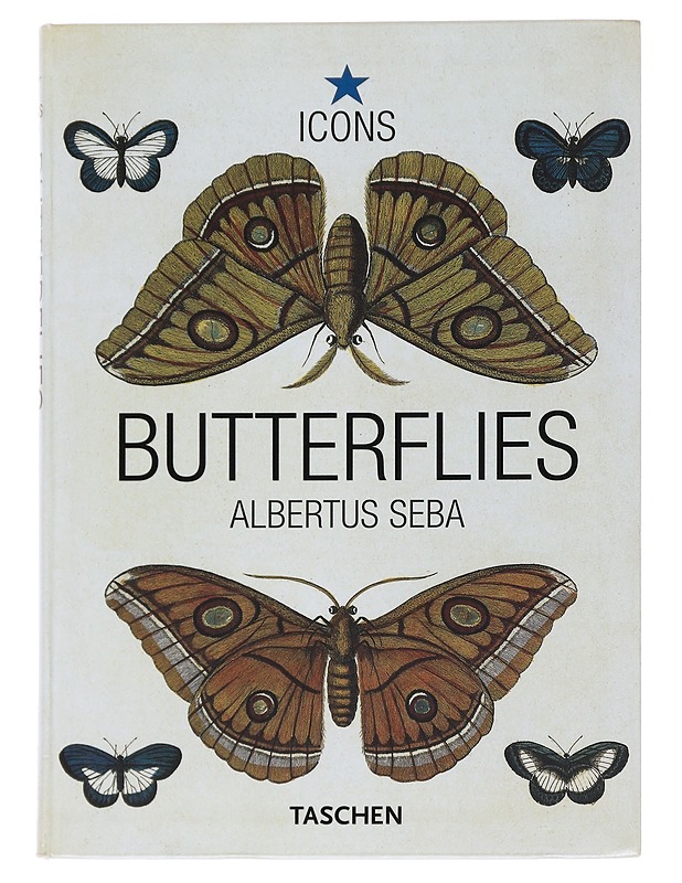 Butterflies - Albertus Seba
