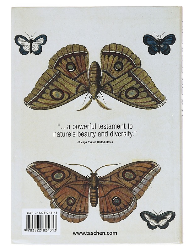 Butterflies - Albertus Seba - Kirja lahjaksi - 10105533152 - 1