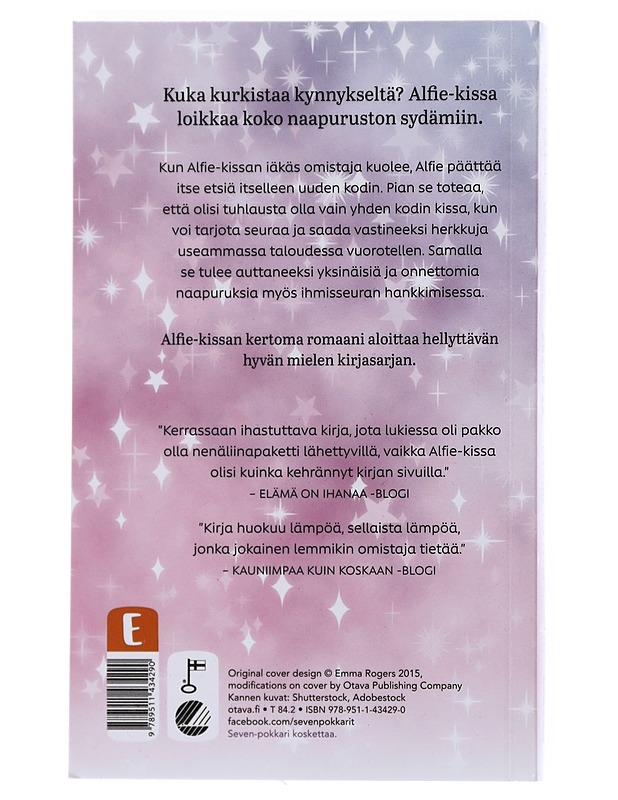 Kissa kynnyksellä - Rachel Wells - Romaanit ja novellit - 10105533494 - 1