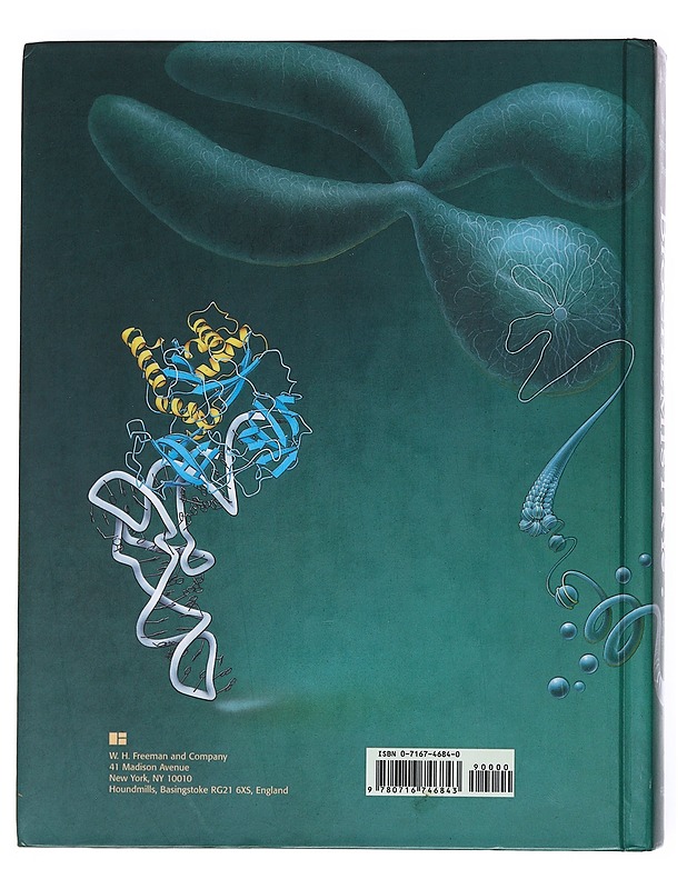 Biochemistry - Berg, Jeremy M. - Tietokirjat ja oppaat - 10105533859 - 1