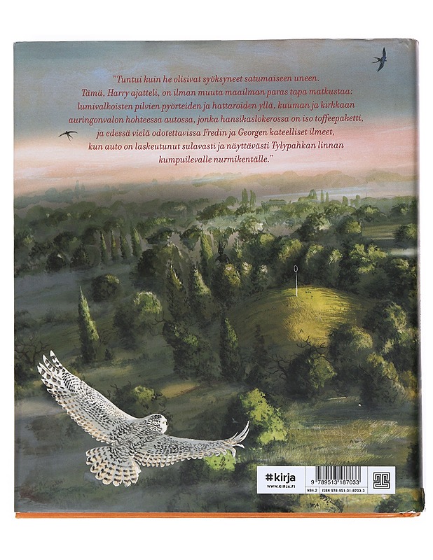 Harry Potter ja salaisuuksien kammio - Rowling, J. K. - Lastenkirjat - 10105533867 - 1