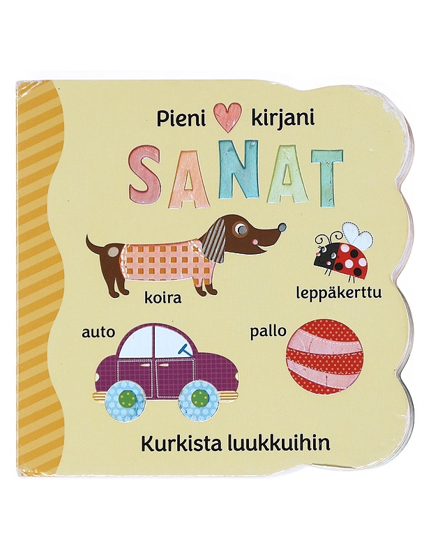 Sanat / kurkista luukkuihin - Hogan, Martina - Lastenkirjat - 10105534968 - 0
