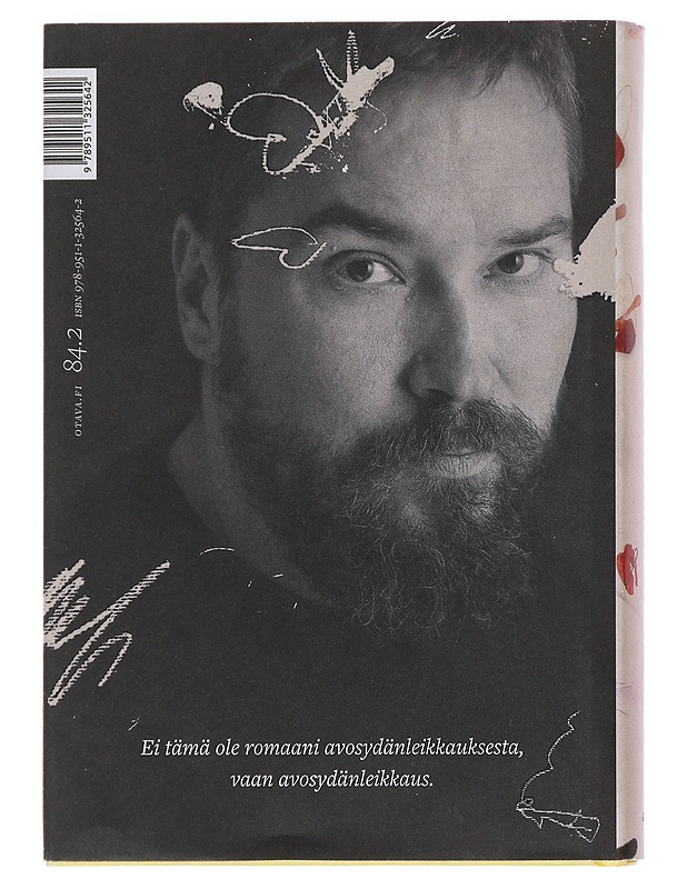 Taivaallinen vastaanotto - Jukka Viikilä - Kaunokirjallisuus - 10105535087 - 1
