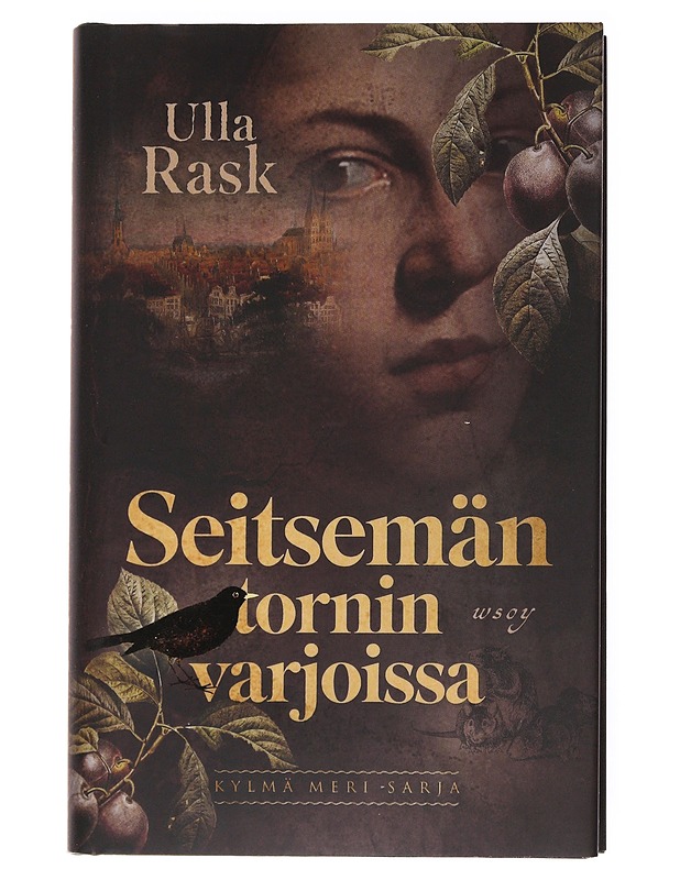 Seitsemän tornin varjoissa - Ulla Rask - Romaanit ja novellit - 10105535322 - 0