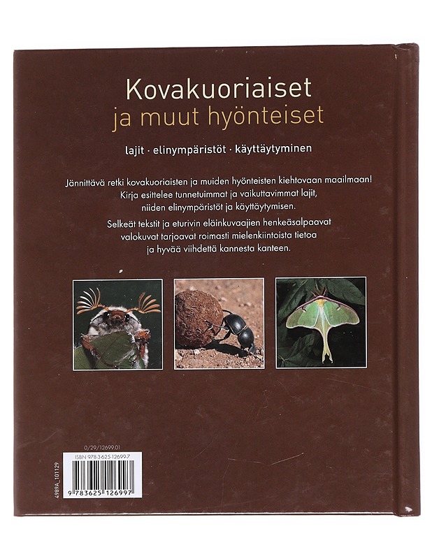 Kovakuoriaiset ja muut hyönteiset - Kothe, Hans W. - Tietokirjat ja oppaat - 10105535817 - 1