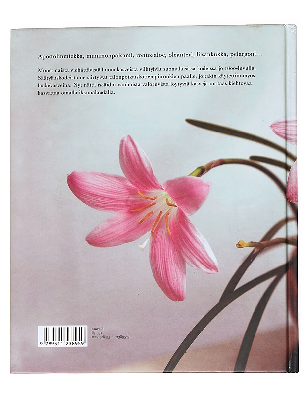 Hienohelma ja vanhapoika : rakkaat huonekasvit - Ranta, Anu - Tietokirjat ja oppaat - 10105535902 - 1