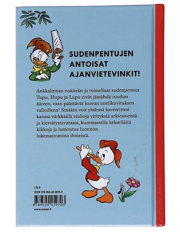 Sudenpentujen puuhaniksit : paljon kivaa tekemistä! - Heilala, Katariina - Lastenkirjat - 10105535955 - 1