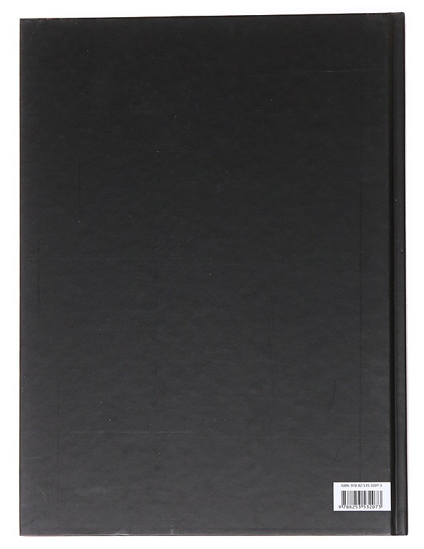 Rutto Euroopassa - Christensen, Else - Historiakirjat - 10105536409 - 1