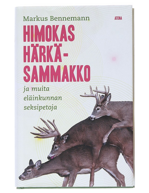 Himokas härkäsammakko ja muita eläinkunnan seksipetoja - Bennemann, Markus - Tietokirjat - 10105537036 - 0