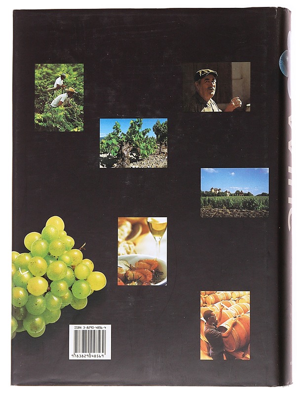 Wine - Dominé, André - Historiakirjat - 10105537067 - 1