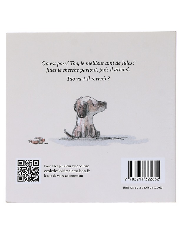 Jules & Tao - Claude K. Dubois - Lastenkirjat - 10105537273 - 1