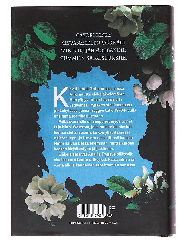 Talo kallion katveessa - Cedervall, Marianne - Jännitys ja dekkarit - 10105537283 - 1