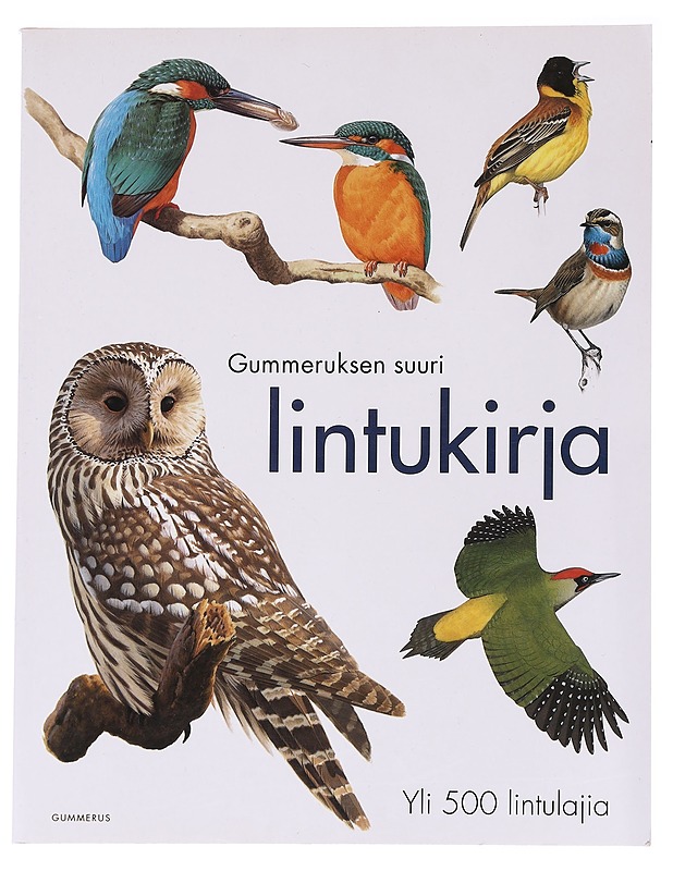 Gummeruksen suuri lintukirja - Sterry, Paul - Kirja lahjaksi - 10105537395 - 0